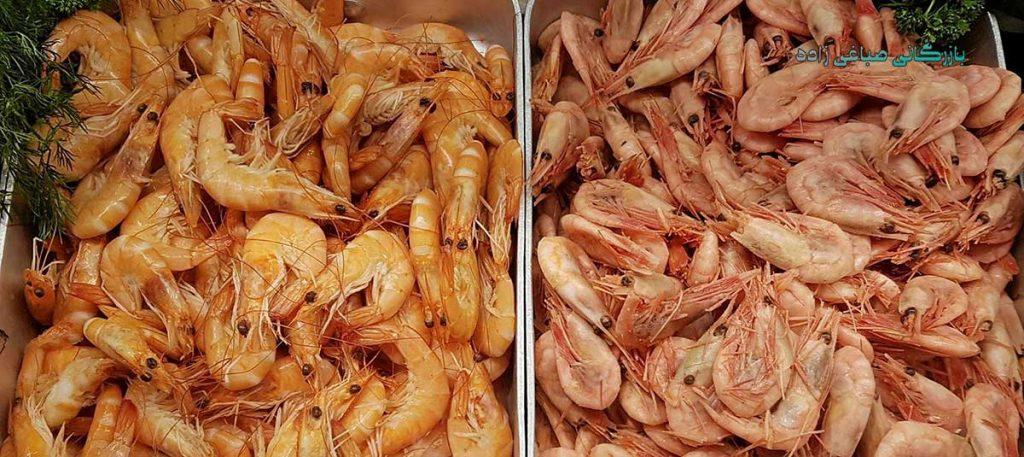 صادرات-میگو