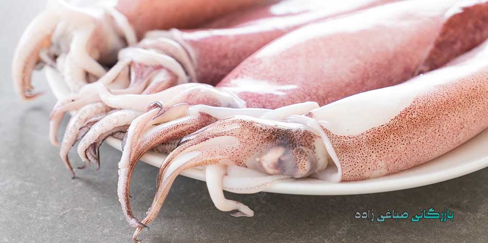 خواص-ماهی-مرکب-صادراتی