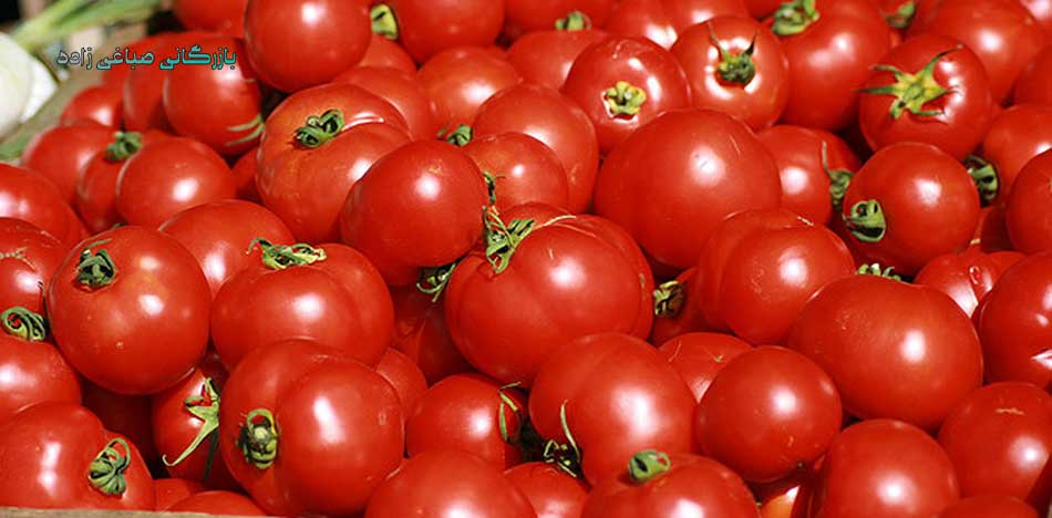 مزیت-صدور-گوجه-فرنگی-ایرانی